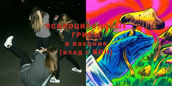 ECSTASY Бронницы
