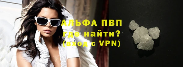 прущие грибы Богданович