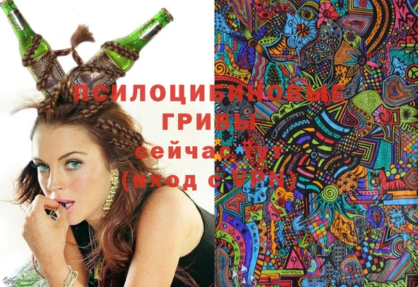 герыч Богородск