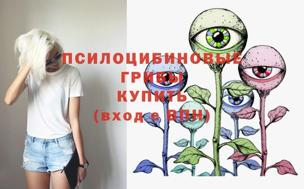 PSILOCYBIN Домодедово